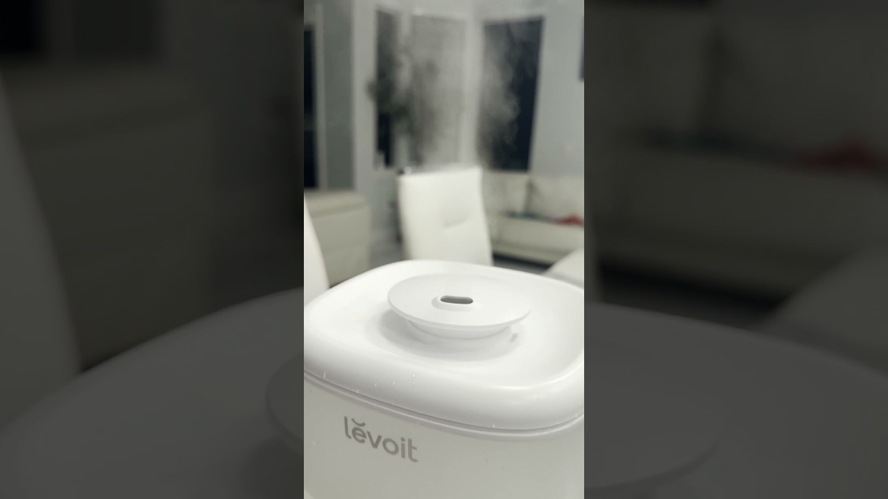 Humidificador Levoit blanco expulsando niebla fría